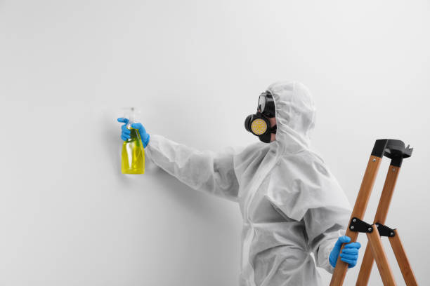 Reliable Parkway, CA Mold Removal & Remediation Solutions